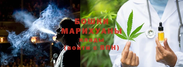 прущие грибы Кодинск