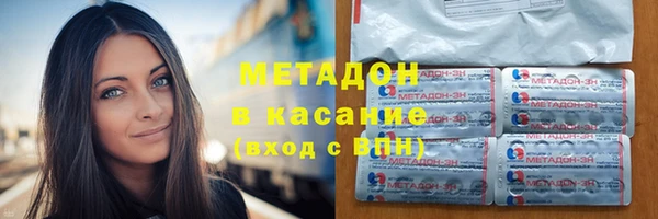 прущие грибы Кодинск