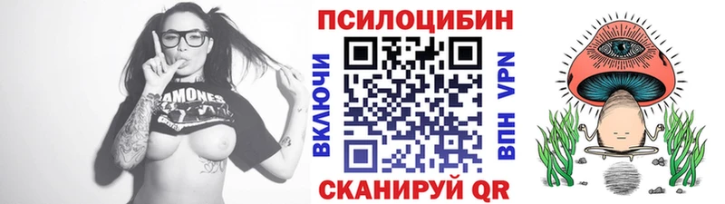 Псилоцибиновые грибы GOLDEN TEACHER  Купить  Похвистнево 